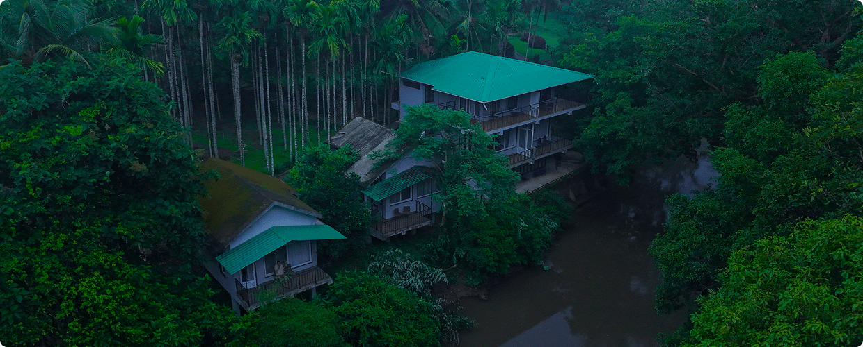 DJI_20241007200940_0273_D (1)