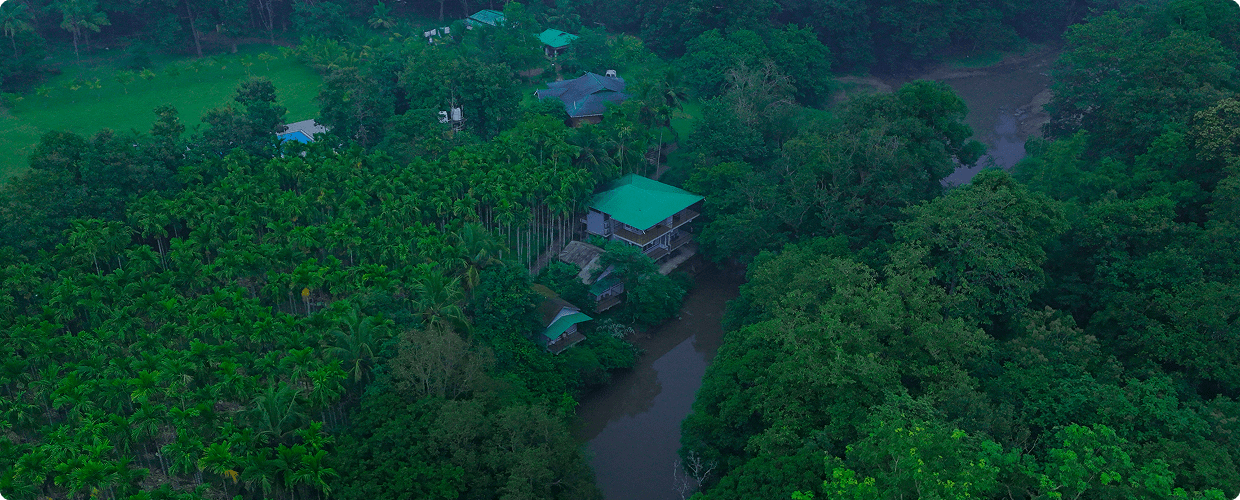 DJI_20241007201006_0276_D